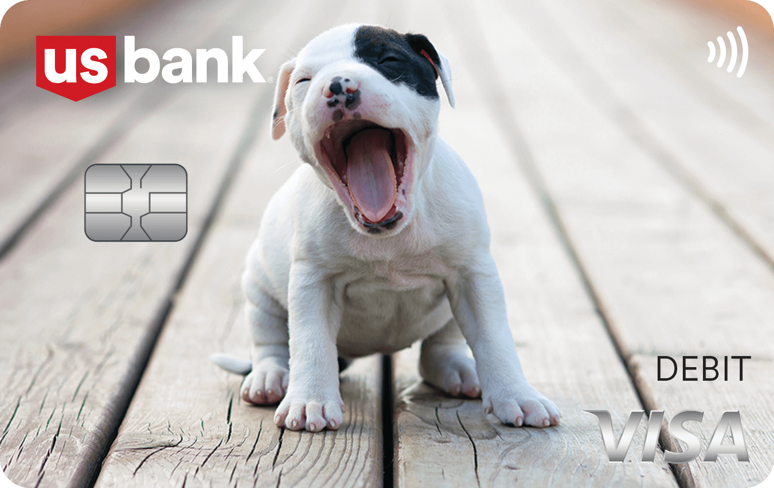 Card 11. Puppy dog Visa debit card design.